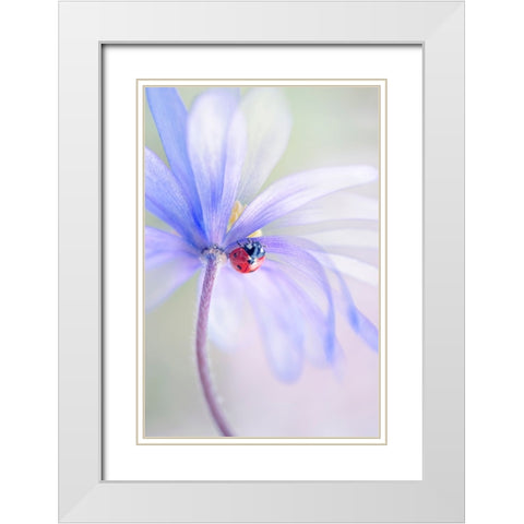 Spring Lady White Modern Wood Framed Art Print with Double Matting by Parker, Jacky