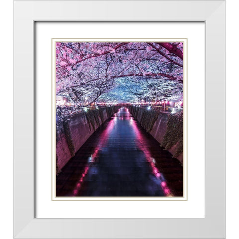 Sakura Season White Modern Wood Framed Art Print with Double Matting by F4 Passion
