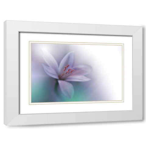 Beyond.. White Modern Wood Framed Art Print with Double Matting by Nan, Juliana