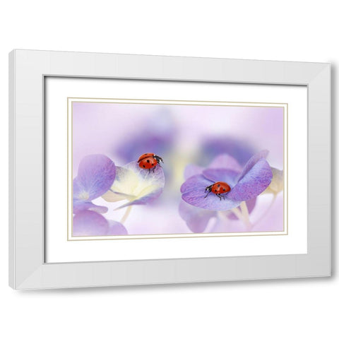 Red And Purple White Modern Wood Framed Art Print with Double Matting by Van Deelen, Ellen