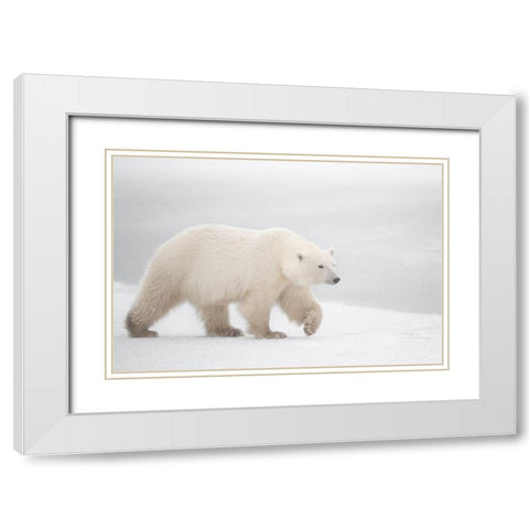 White White Modern Wood Framed Art Print with Double Matting by Pozzi, Marco