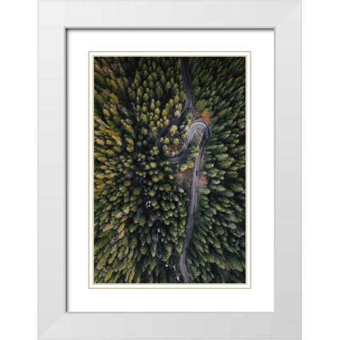 Forest Vibes White Modern Wood Framed Art Print with Double Matting by Beata, Angyalosi