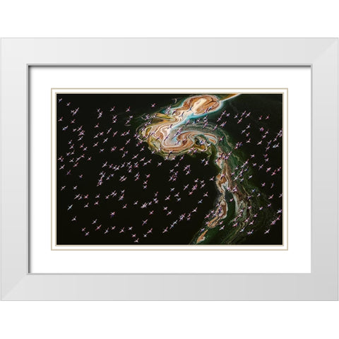 Hundreds Of Flamingos White Modern Wood Framed Art Print with Double Matting by J. Chen, John