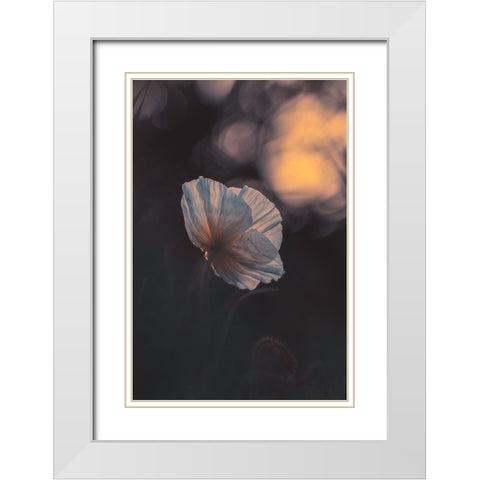 Last Ray White Modern Wood Framed Art Print with Double Matting by BRAVIN, Fabien