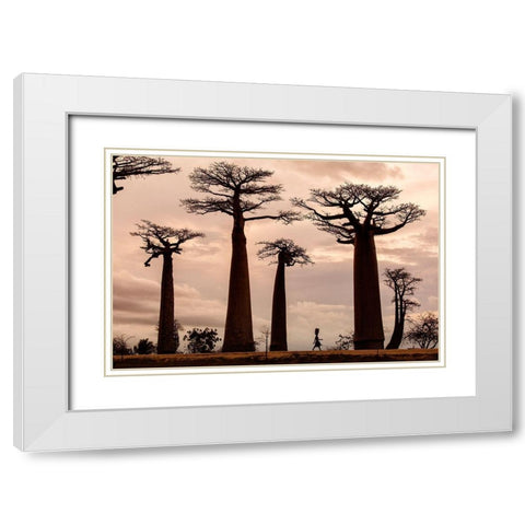 Madagascar White Modern Wood Framed Art Print with Double Matting by Mirica, Dan