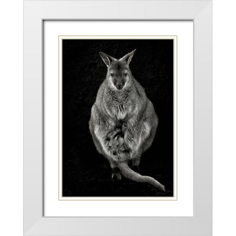 Want To Emancipate White Modern Wood Framed Art Print with Double Matting by Guillemot, Mathilde