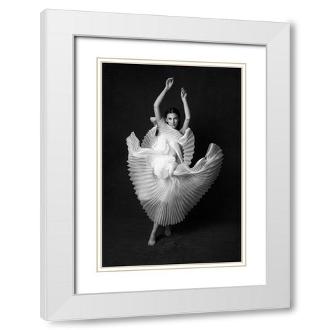 Swan Lake White Modern Wood Framed Art Print with Double Matting by Naderi, Peyman