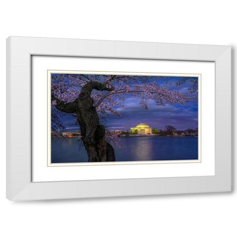 Cherry Blossoms Around The Jefferson Memorial White Modern Wood Framed Art Print with Double Matting by Zhu, Hua