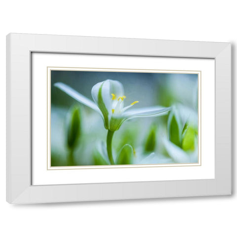 Emerging White Modern Wood Framed Art Print with Double Matting by Eisenmann, Ulrike