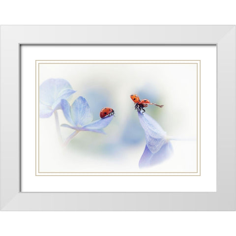 Remember Me.... White Modern Wood Framed Art Print with Double Matting by Van Deelen, Ellen