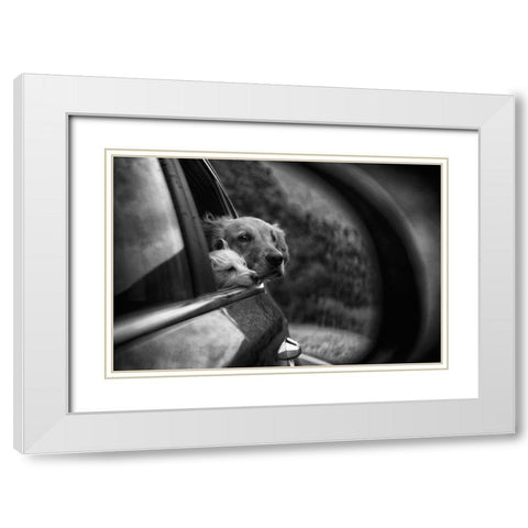 Roadtrip White Modern Wood Framed Art Print with Double Matting by Labagnara, Roxana