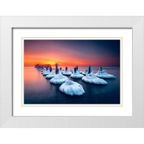 The Ice Guard White Modern Wood Framed Art Print with Double Matting by Bolgov, Ruslan