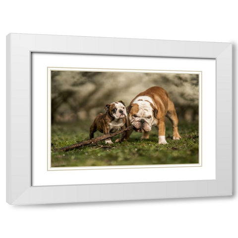 Busy With A Stick White Modern Wood Framed Art Print with Double Matting by van den, Gert
