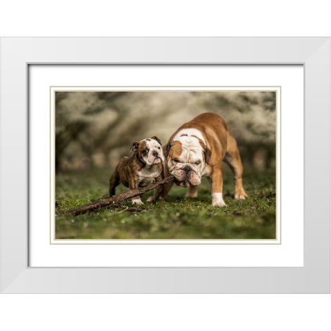 Busy With A Stick White Modern Wood Framed Art Print with Double Matting by van den, Gert