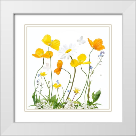 Spring Sunshine White Modern Wood Framed Art Print with Double Matting by Williams, Sharon