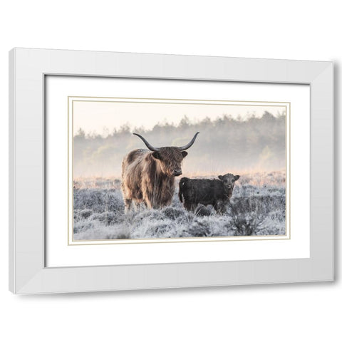 Highlander And Calf White Modern Wood Framed Art Print with Double Matting by van den, Jaap