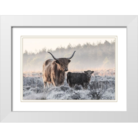 Highlander And Calf White Modern Wood Framed Art Print with Double Matting by van den, Jaap