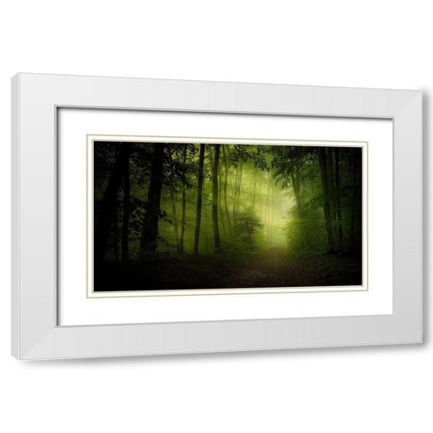 Spring Secret White Modern Wood Framed Art Print with Double Matting by Maier, Norbert