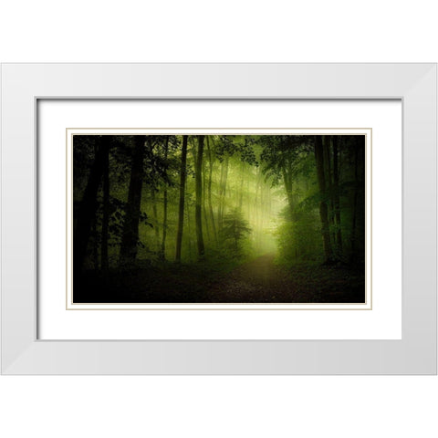 Spring Secret White Modern Wood Framed Art Print with Double Matting by Maier, Norbert