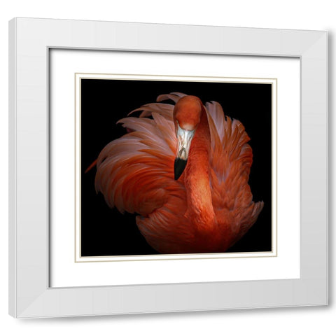 Pink Beauty White Modern Wood Framed Art Print with Double Matting by Kamera