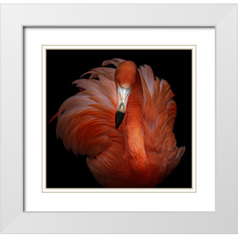 Pink Beauty White Modern Wood Framed Art Print with Double Matting by Kamera