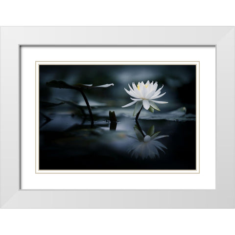 Reflection White Modern Wood Framed Art Print with Double Matting by Suzuki, Takashi