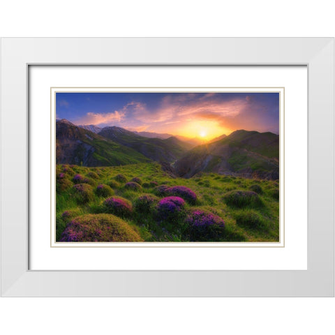 Spring In Show White Modern Wood Framed Art Print with Double Matting by Younesi, Saeed