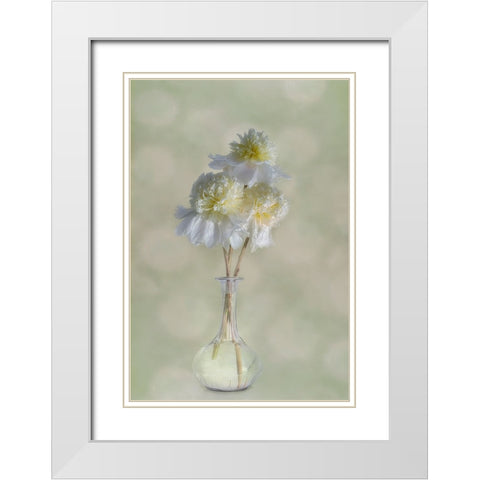 Peonies White Modern Wood Framed Art Print with Double Matting by Gray, Gaille