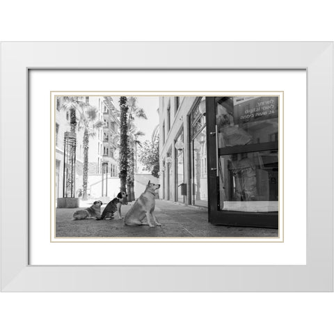 Untitled White Modern Wood Framed Art Print with Double Matting by Lev Ari, Shay