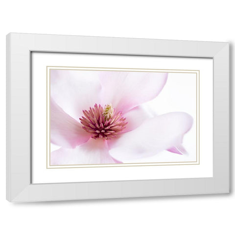 Freshness White Modern Wood Framed Art Print with Double Matting by Karpova, Inna