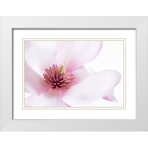 Freshness White Modern Wood Framed Art Print with Double Matting by Karpova, Inna