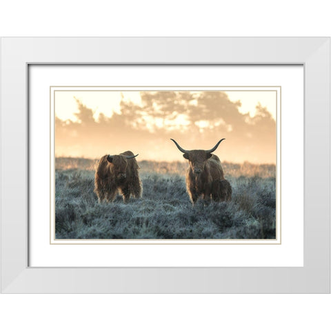 Three Highlanders White Modern Wood Framed Art Print with Double Matting by Van Den, Jaap