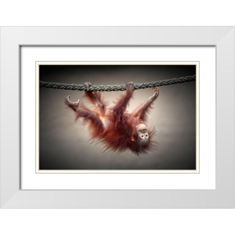 Dont Murder Our Primeval Forests White Modern Wood Framed Art Print with Double Matting by Wenner-Braun, Antje