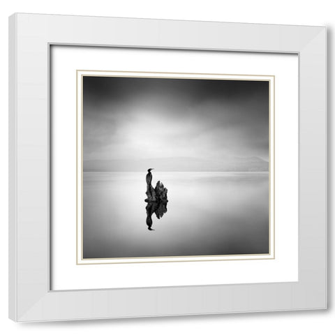 Cormorant 02 White Modern Wood Framed Art Print with Double Matting by Digalakis, George
