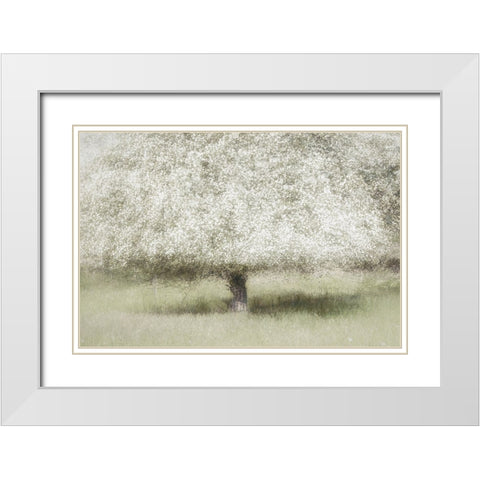 In The Backyard White Modern Wood Framed Art Print with Double Matting by Talen, Nel