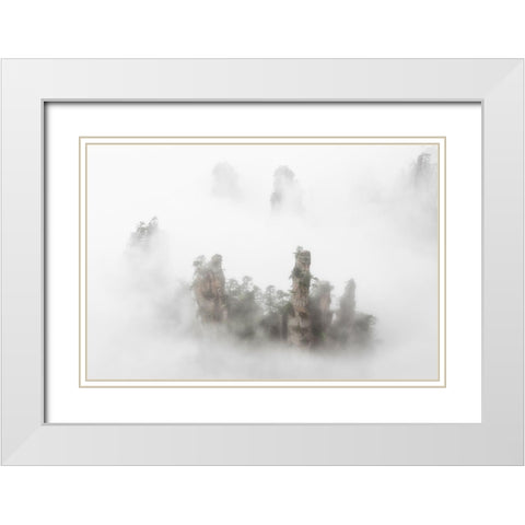 Zhangaije White Modern Wood Framed Art Print with Double Matting by Marchegiani, Roberto
