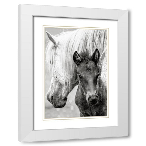 The Foal White Modern Wood Framed Art Print with Double Matting by Parker, Jacky