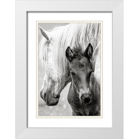 The Foal White Modern Wood Framed Art Print with Double Matting by Parker, Jacky