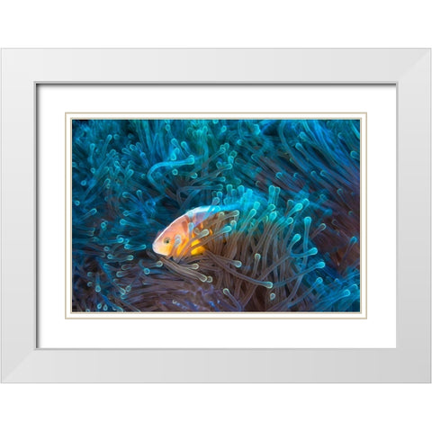Skunk Clownfish White Modern Wood Framed Art Print with Double Matting by Gabriel, Barathieu