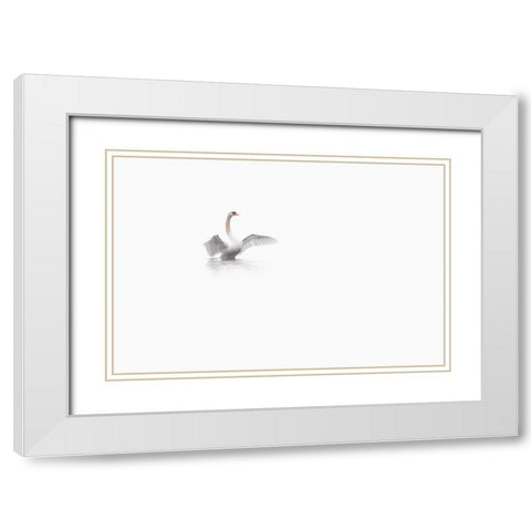 White White Modern Wood Framed Art Print with Double Matting by Bravin, Fabien