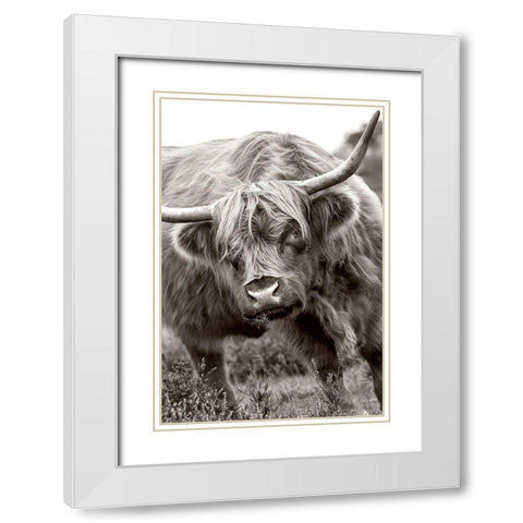 The Bull White Modern Wood Framed Art Print with Double Matting by Parker, Jacky