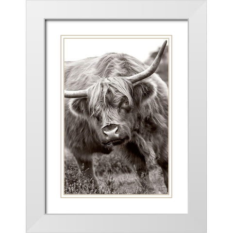 The Bull White Modern Wood Framed Art Print with Double Matting by Parker, Jacky