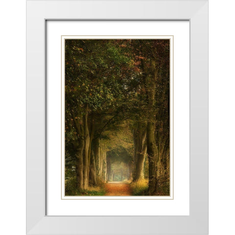 Daydreamer White Modern Wood Framed Art Print with Double Matting by Borggreve, Ellen