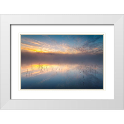 Reeds White Modern Wood Framed Art Print with Double Matting by Keller