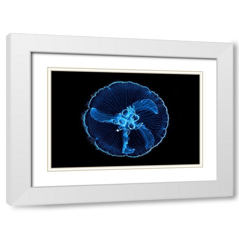 Macdusa White Modern Wood Framed Art Print with Double Matting by Gabriel, Barathieu