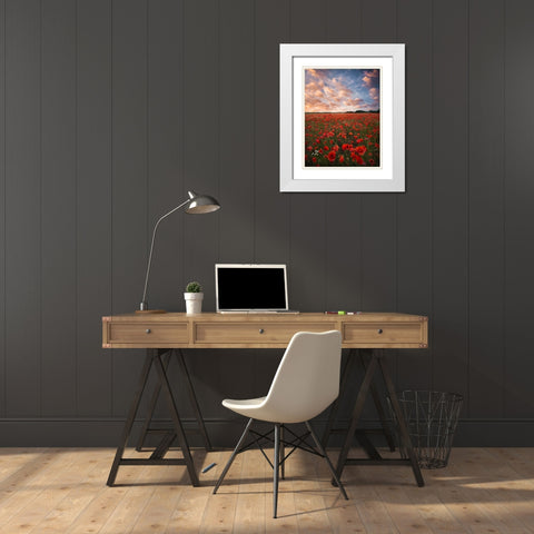 Poppy Field In Sweden White Modern Wood Framed Art Print with Double Matting by Lindsten, Christian
