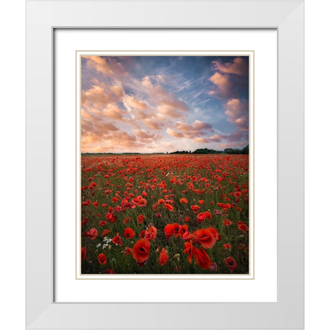Poppy Field In Sweden White Modern Wood Framed Art Print with Double Matting by Lindsten, Christian