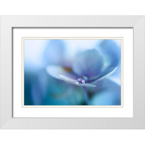 Reflection White Modern Wood Framed Art Print with Double Matting by Van Deelen, Ellen