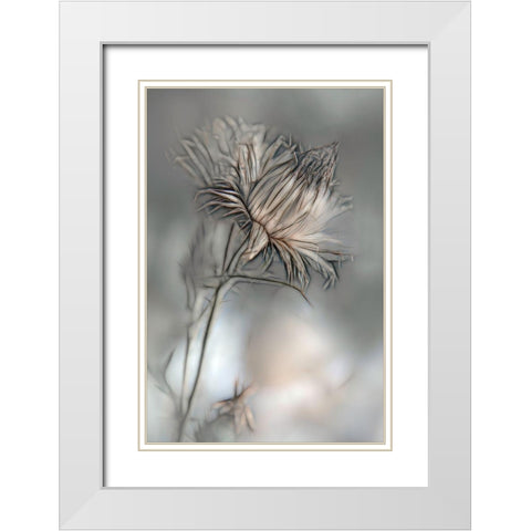 Source Of Life White Modern Wood Framed Art Print with Double Matting by Claes, Gilbert