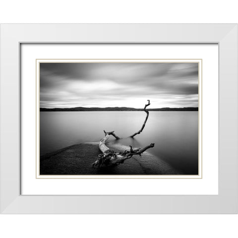 Branch Long Exposure Lake White Modern Wood Framed Art Print with Double Matting by Lindsten, Christian